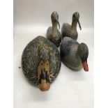 A collection of decoy ducks .