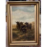 A gilt framed painting of highland cattle.