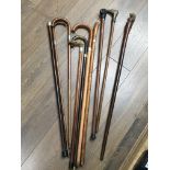 A collection of 10 various walking sticks, seven w