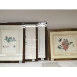 A collection of two sets of four still life and insect studies walnut framed prints The Kew