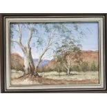 A framed oil on board of Chambers Gorge, Australia by Jan Davies, approx 40cm x 31cm - NO RESERVE