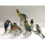 Five Karl Ens figures of birds comprising Parrots