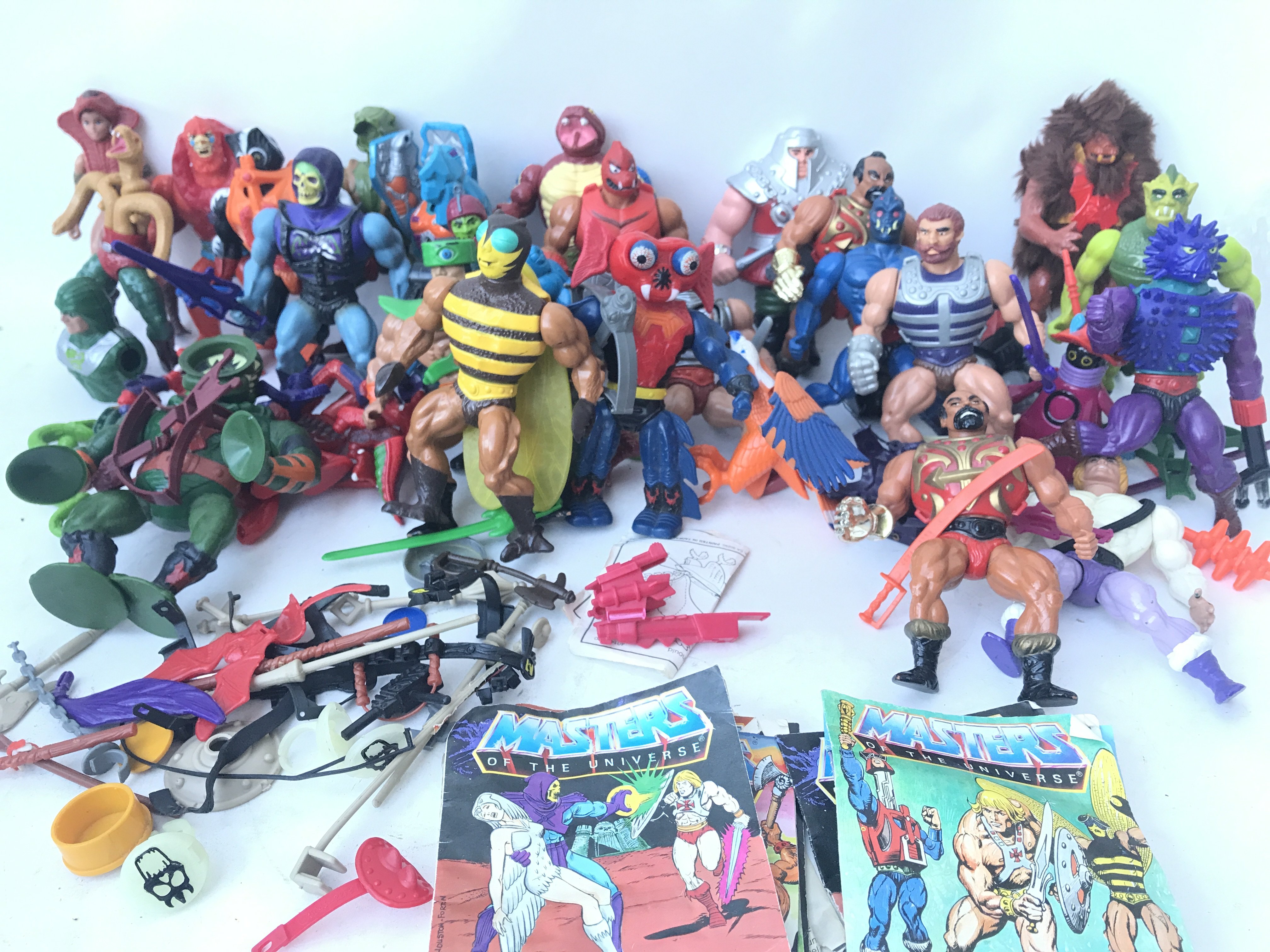 A Collection of Masters of the Universe Figures wi