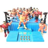 A collection of vintage WWF Wrestling Figures and
