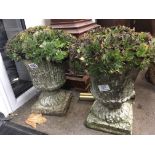 A pair of composition garden urns complete with es