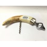 A white metal mounted Wild boar tusk corkscrew.