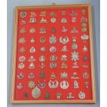 Seventy British Army cap badges including the Buffs, Suffolk Regiment, Royal Irish Regiment,