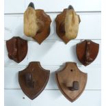 A pair of taxidermy deer slot/ hoof coat hooks / gun rack together with four wooden hooks on