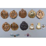 Thirteen Royal Air Force badges including a Royal Flying Corps example