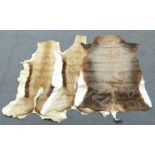 Three antelope hide rugs with Cape Town impressed marks verso, longest 106cm