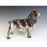 Nymphenburg large model of a cocker spaniel dog, with original label 'Invader of Ware', H20cm