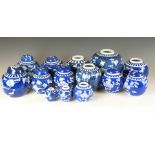 Thirteen Chinese ginger jars, some with covers and most decorated with prunus blossom on a blue