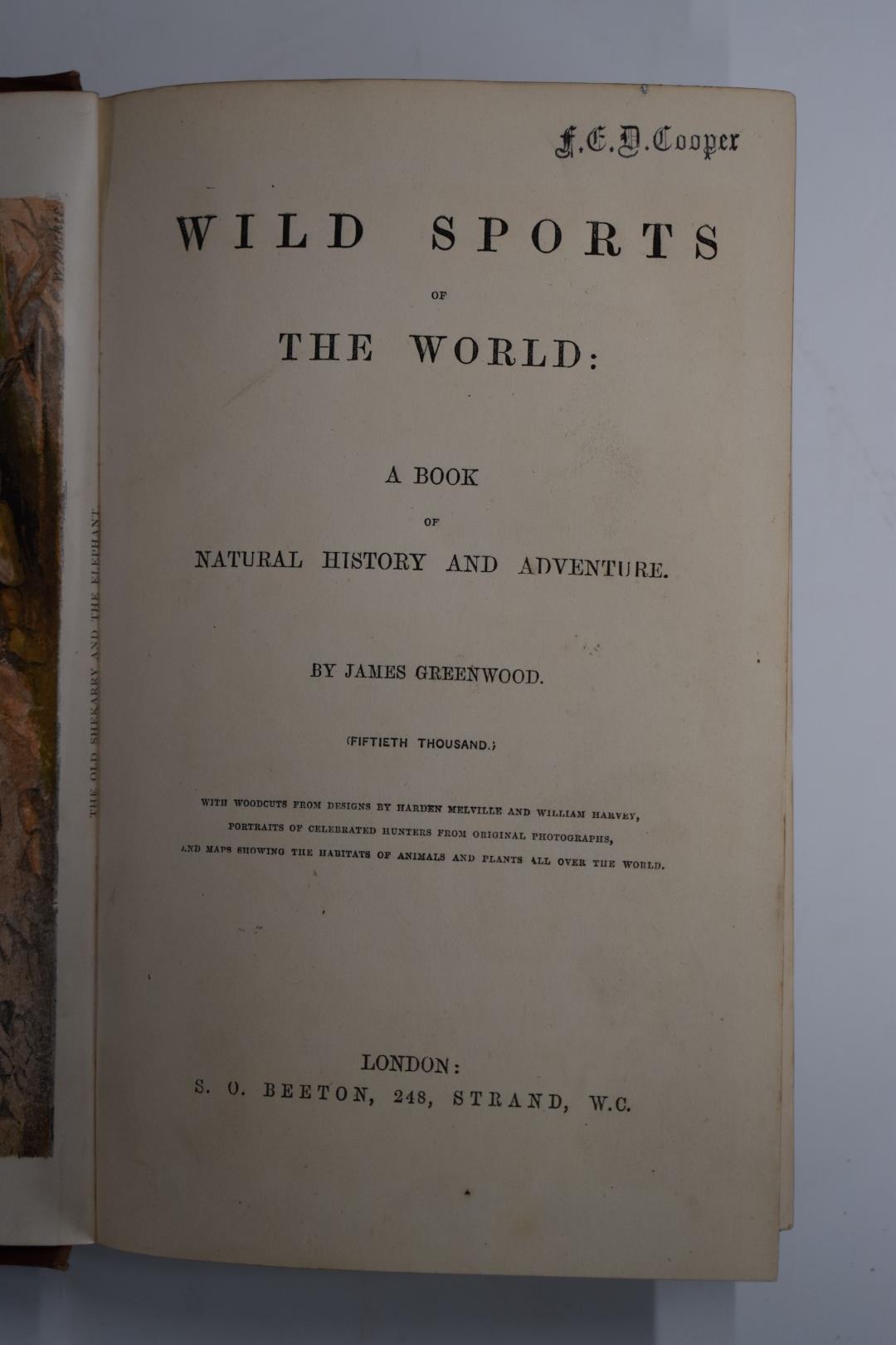 Wild Sports of the World, A Book of Natural History and Adventure by James Greenwood with - Bild 2 aus 2