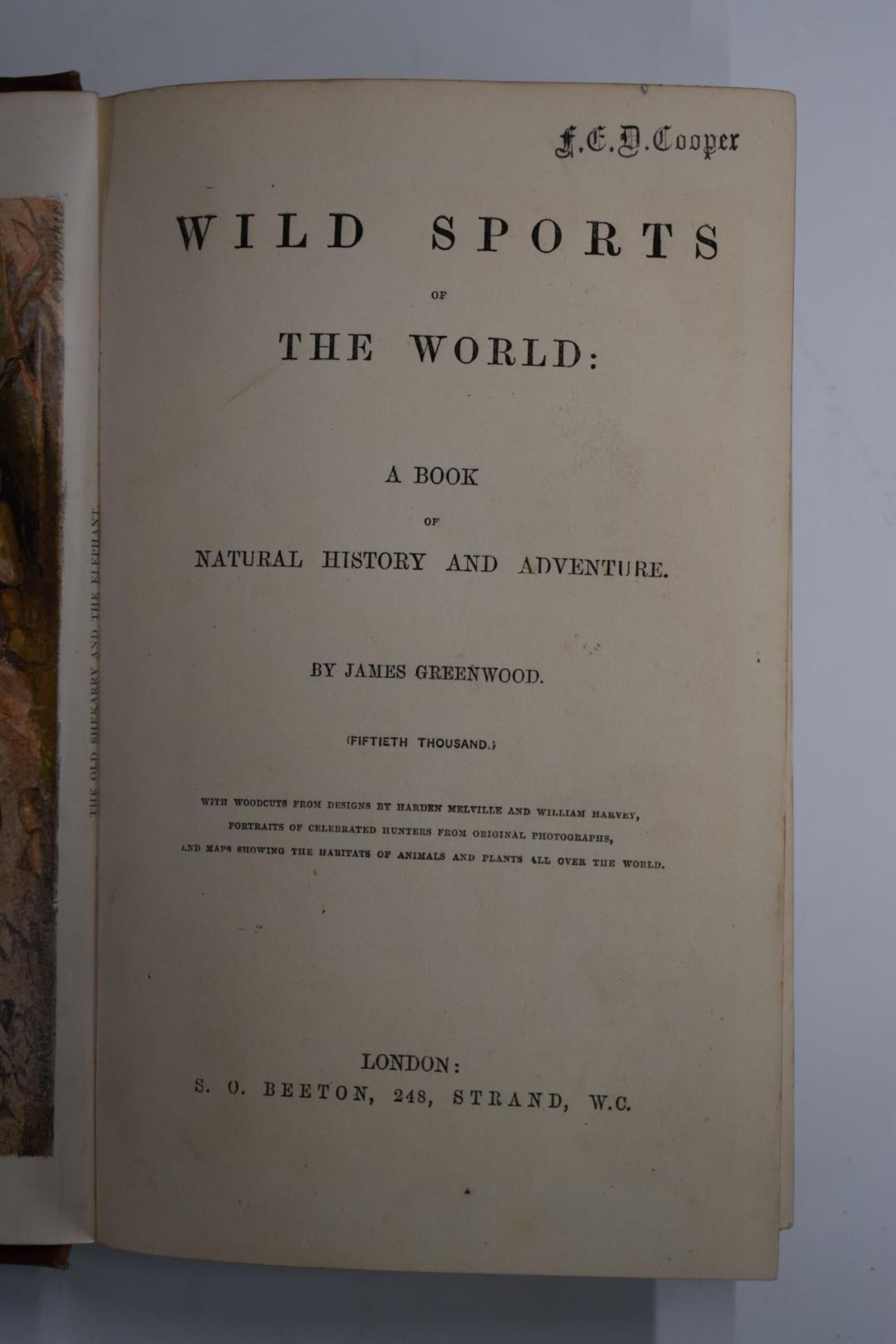 Wild Sports of the World, A Book of Natural History and Adventure by James Greenwood with - Image 2 of 2