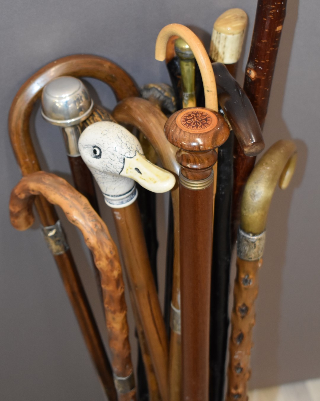 Group of walking sticks, several with hallmarked silver mounts, some with deer horn handles etc - Image 2 of 2