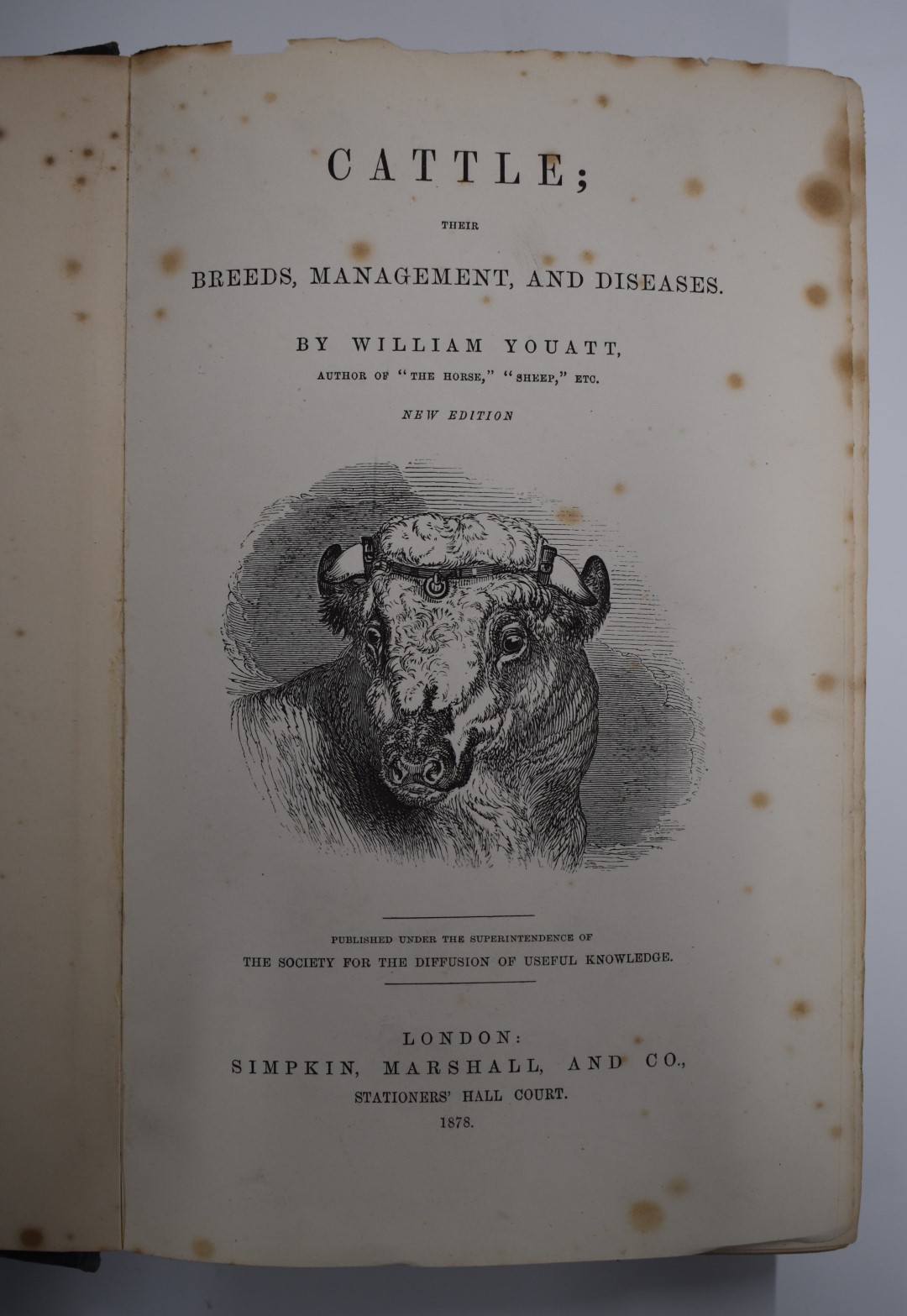 Cattle; Their Breeds, Management and Diseases by William Youatt published 1878 New Edition with text - Bild 2 aus 2