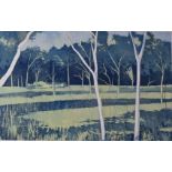 Limited edition (3/75) print 'Kimberley Landscape' Australia, indistinctly signed possibly P E