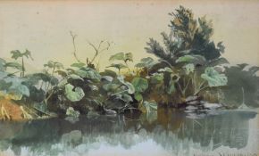 Samuel Phillips Jackson RWS (1830-1904) watercolour Gunnera by water, signed and dated 1856 lower
