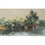 Samuel Phillips Jackson RWS (1830-1904) watercolour Gunnera by water, signed and dated 1856 lower