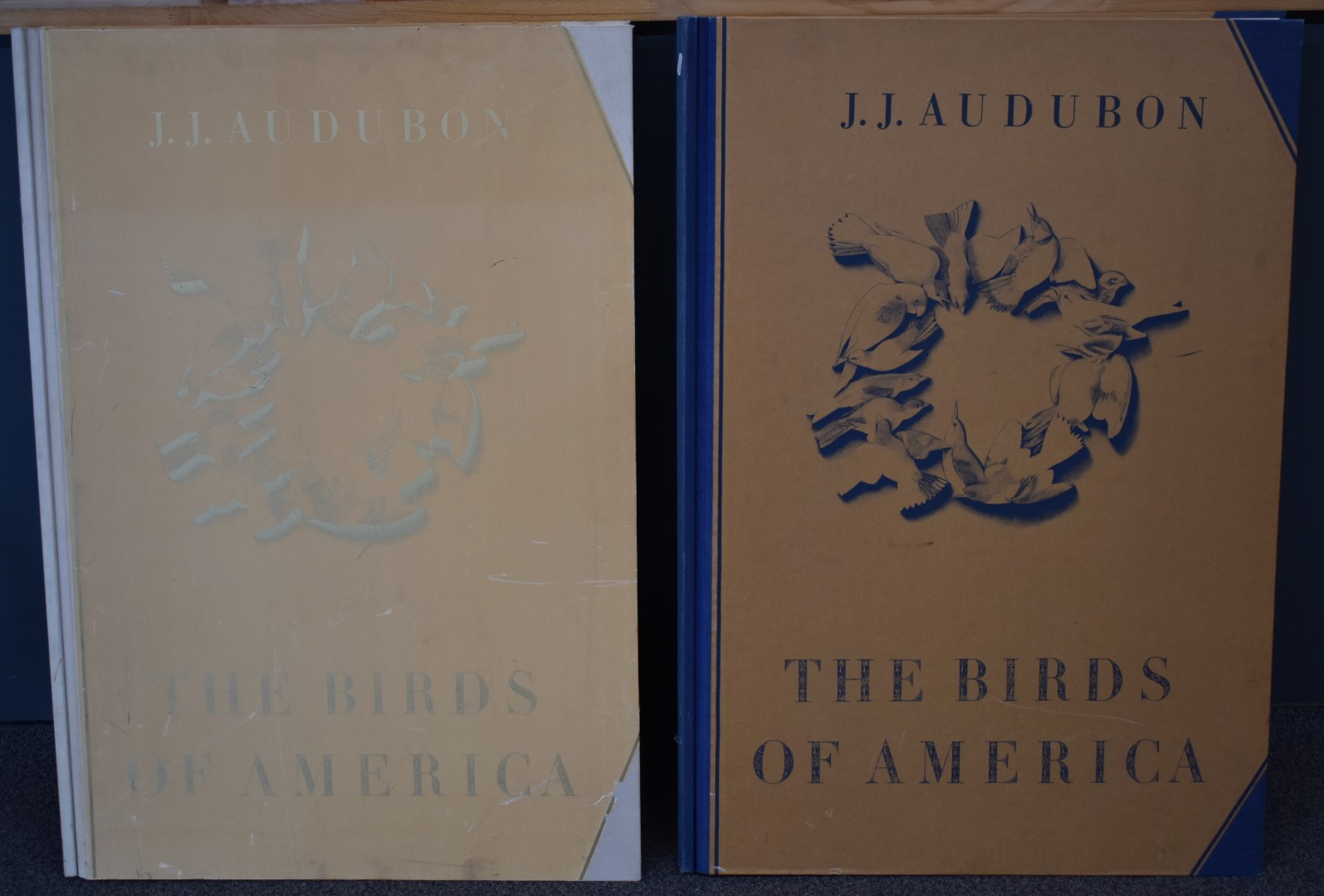 John James Audubon The Birds of America with facsimile Leipzig edition plates (two volume). Some