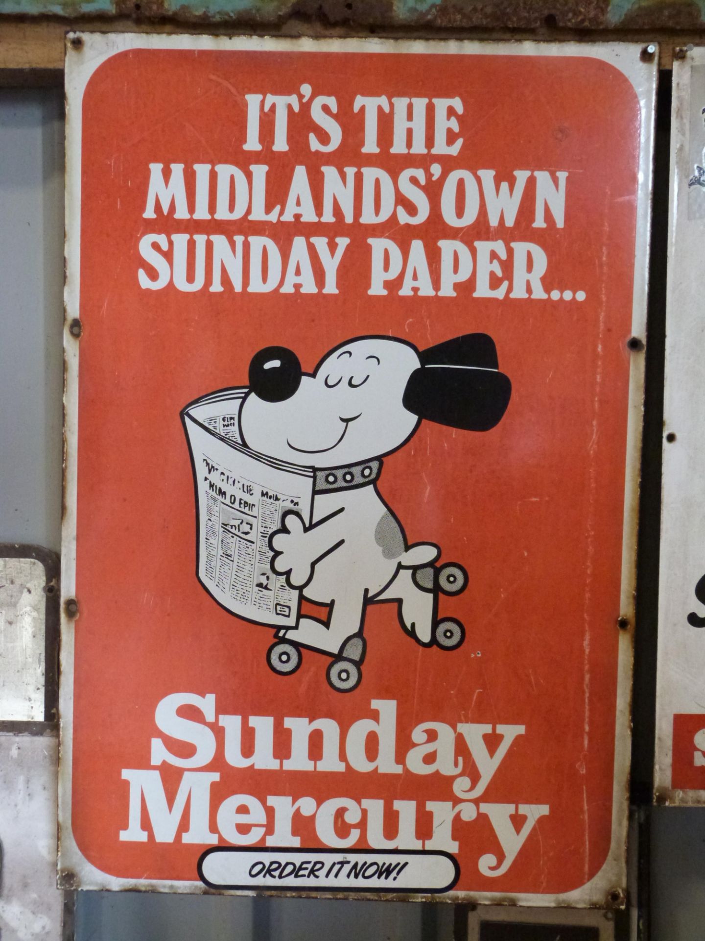 Vintage enamel newspaper advertising sign 'Sunday Mercury' with roller-skating dog, 70 x 47cm PLEASE