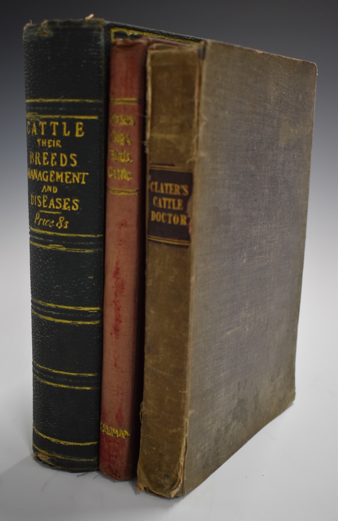 Cattle; Their Breeds, Management and Diseases by William Youatt published 1878 New Edition with text