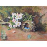W Burgess watercolour bird's nest and blossom, signed lower right, 21.5 x 29.5cm, in gilt frame