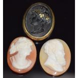 Victorian carved tortoiseshell cameo with gold inlay and border, 2.2 x 3cm and two c1900 cameos