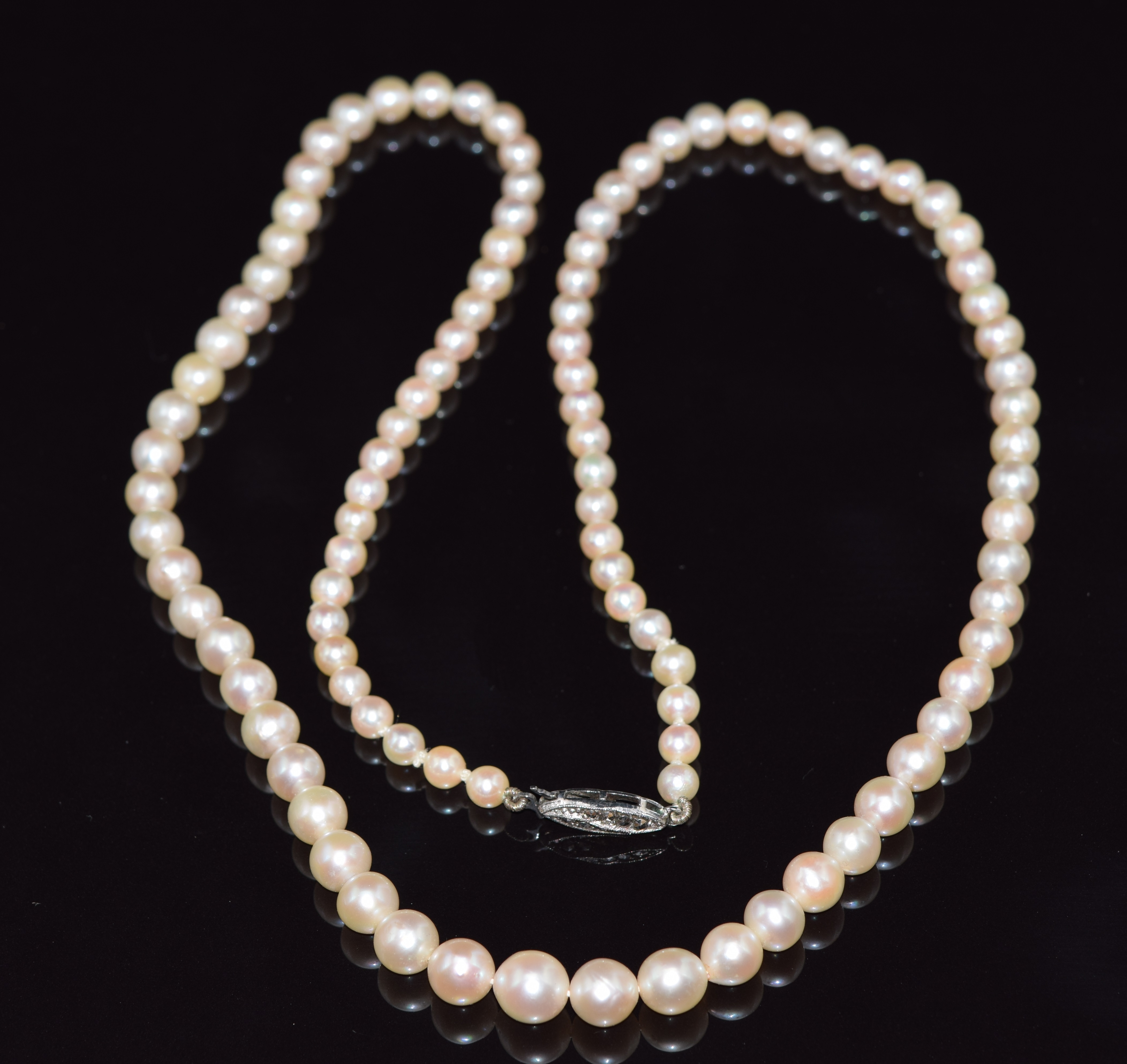 A single strand of cultured pearls with a silver clasp