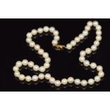 A single strand of cultured pearls with an 18ct gold clasp