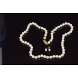 A single stand of cultured pearls with a 9ct gold clasp and a pair of pearl earrings
