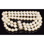 A three strand cultured pearl bracelet, the 9ct gold clasp set with sapphires and pearls