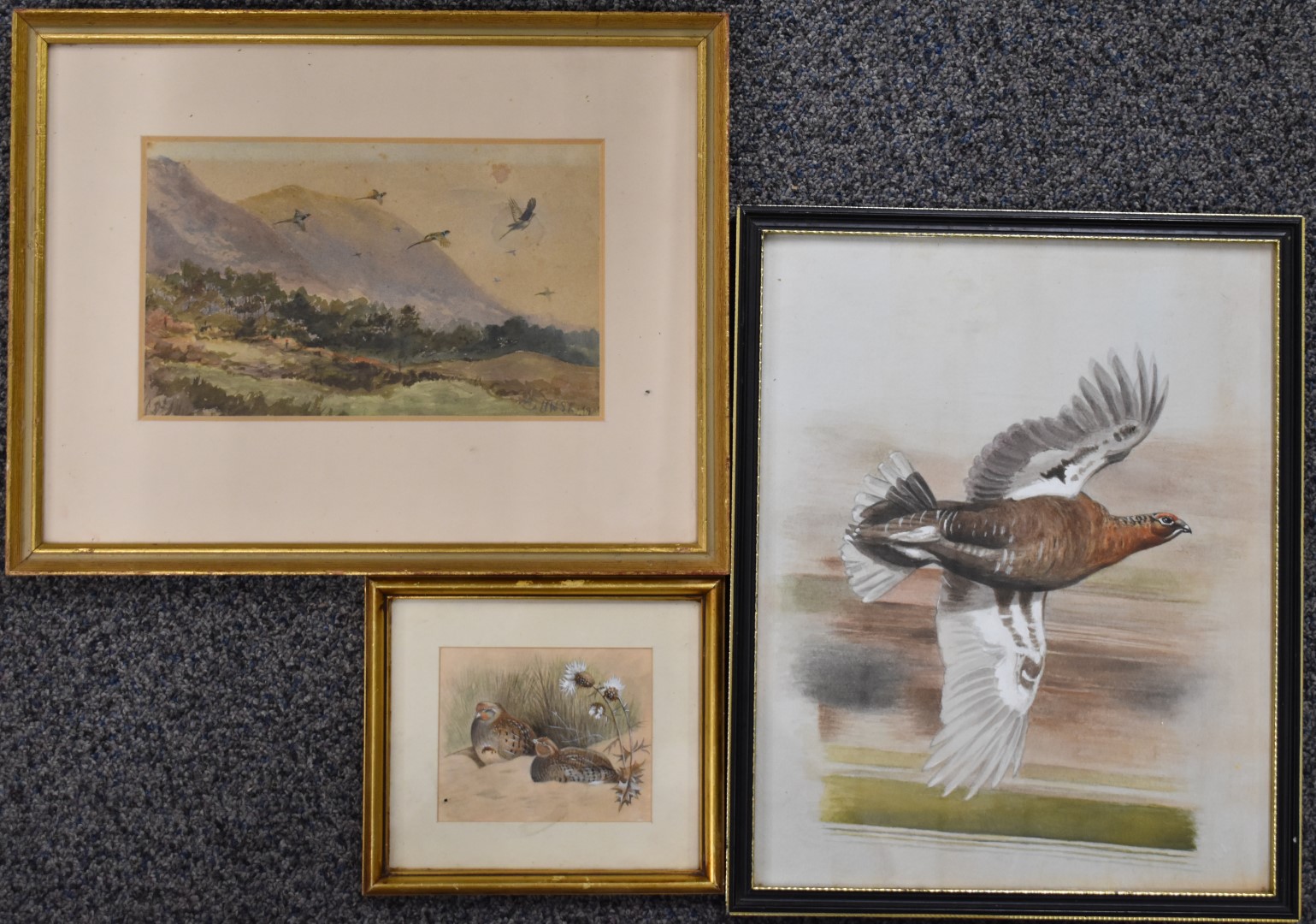 Three watercolours of birds, one a pair of grouse on the ground, 8 x 10cm, another a grouse in