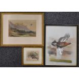 Three watercolours of birds, one a pair of grouse on the ground, 8 x 10cm, another a grouse in