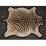 Burchell Zebra skin / taxidermy interest rug mounted on felt, with Natal Parks Board permit, 150 x
