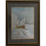 James Stinton (Royal Worcester artist 1870-1961), watercolour study of two white grouse in a snowy