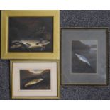 Three oil on board studies of fish, one of the days catch with fishing reel, net and creel on the