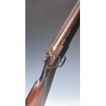 Thomas Adsett of Canterbury 10 bore side by side percussion hammer action shotgun with named lock,