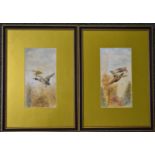 William E Powell (Royal Worcester artist), pair of watercolour studies of birds in flight, both