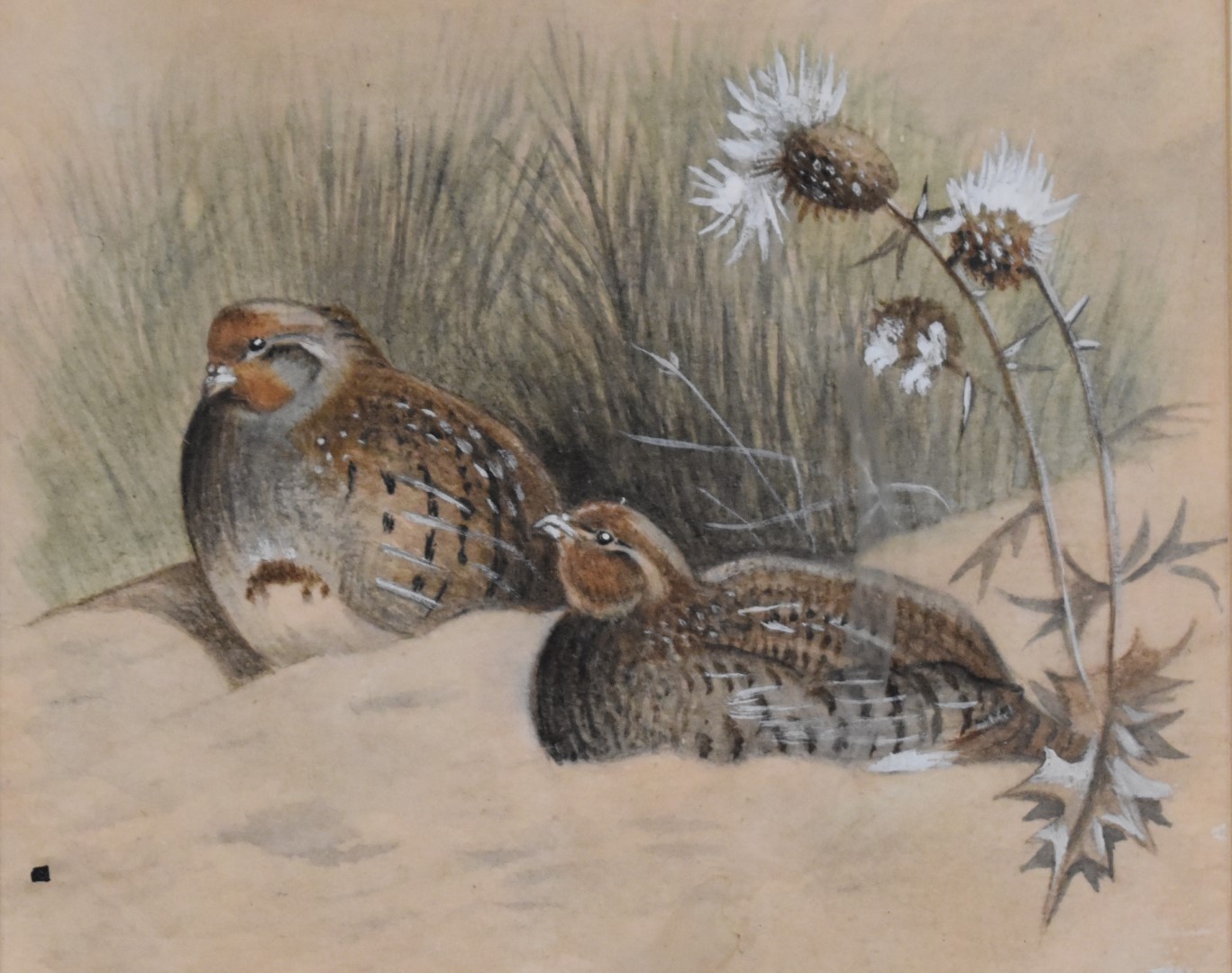 Three watercolours of birds, one a pair of grouse on the ground, 8 x 10cm, another a grouse in - Image 4 of 4