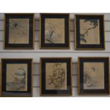 A set of six late 19th/20thC Chinese watercolours of birds, 22.5 x 17.5cm