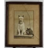 Early 20thC watercolour of a terrier and cat on a table, signed and dated H Bowles 1902 lower right,