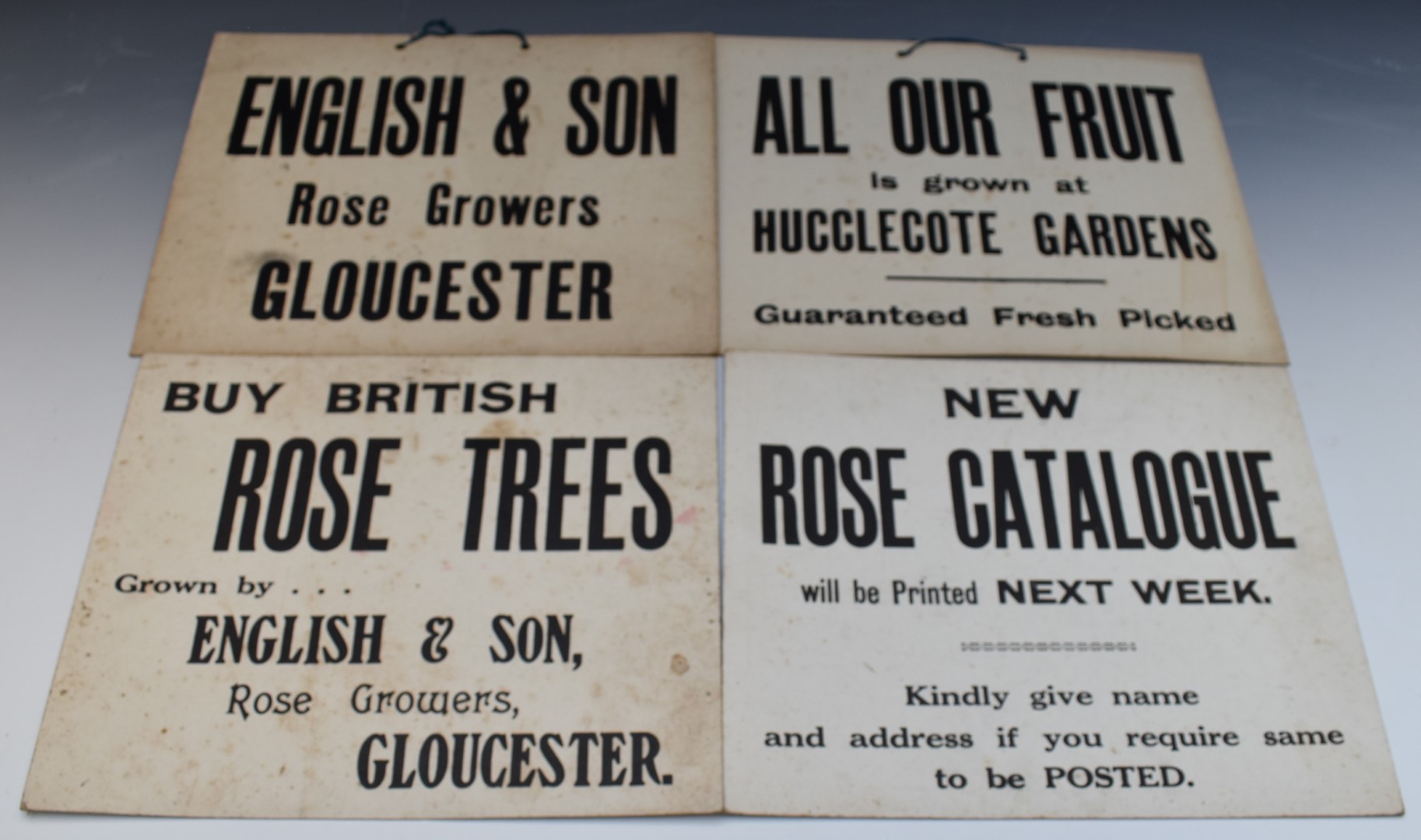 Vintage cardboard/pressed board signage including English and Son Rose Growers Gloucester and - Image 9 of 11