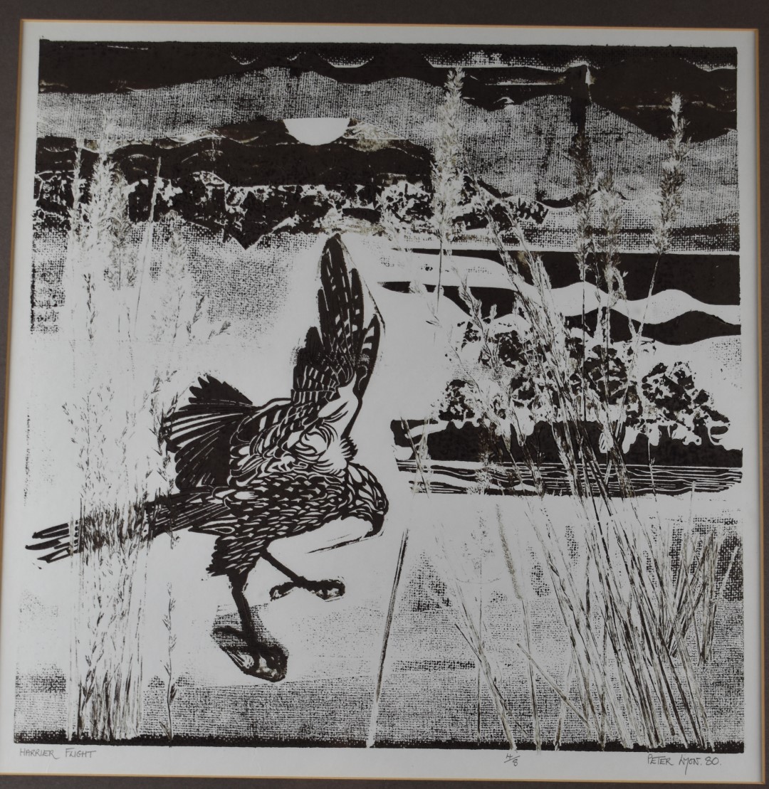 Peter Lyon signed limited edition (4/8) print Harrier Flight, bird in landscape, 44 x 44cm - Image 2 of 7