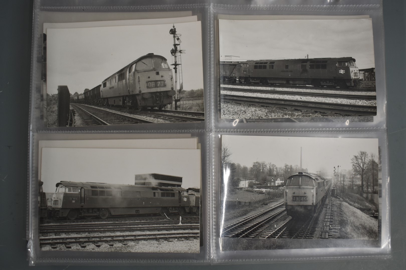 Seventy four vintage black and white 6 x 4 inch photographs of British Rail class 52 "Western" - Image 4 of 19