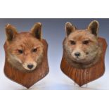 Pair of F E Potter of Billesdon Leicester taxidermy studies of fox masks, both mounted on wooden