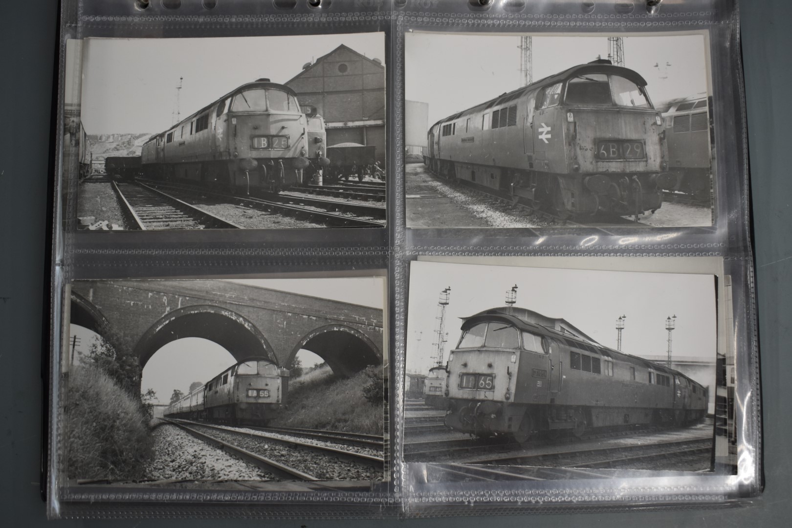 Seventy four vintage black and white 6 x 4 inch photographs of British Rail class 52 "Western" - Image 13 of 19