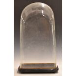 Large glass dome on fitted base suitable for taxidermy, clocks etc, W28 x D23 x H50cm