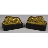 Pair of 19thC brass lions on marble plinths, probably Grand Tour pieces, L8 x W4 x H6cm