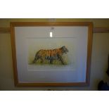 Andrew Thompson, 'Tiger', inscribed on label verso, watercolour and gouache, 28 x 42cm.